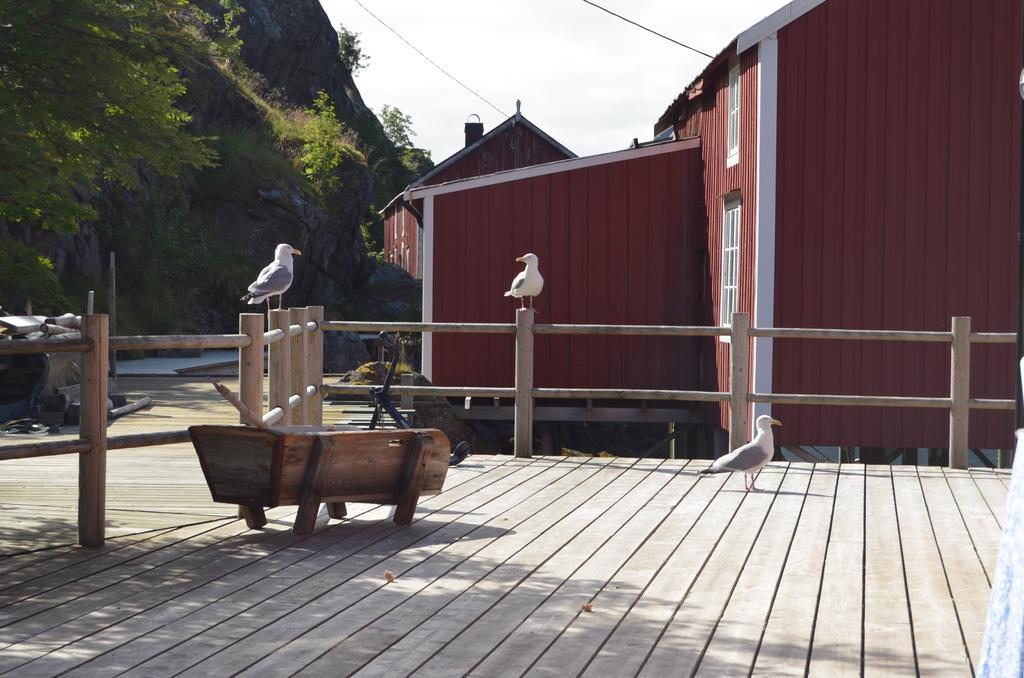 Lofoten Cabins - Sund Sund  외부 사진